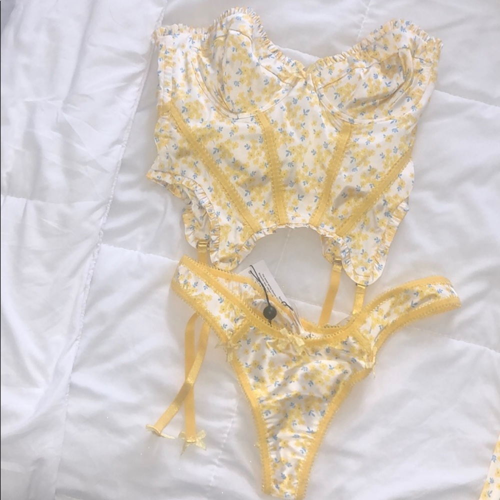 Brand new for love and lemons lingerie set!